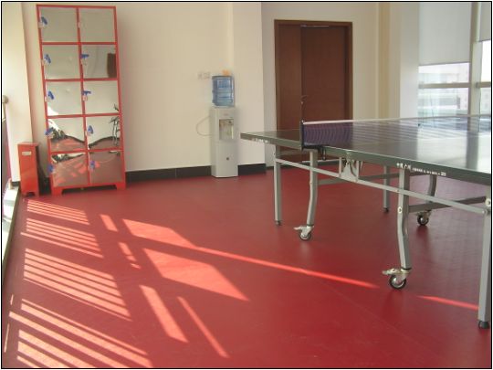 乒乓球馆地板工程案例
